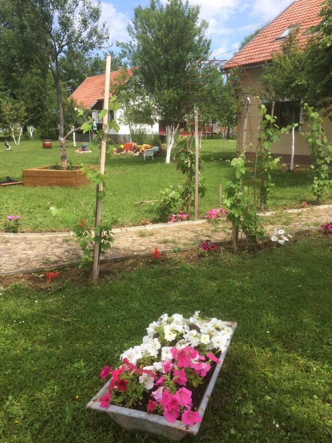 Apartments Eco Forest Resort Раковица Экстерьер фото