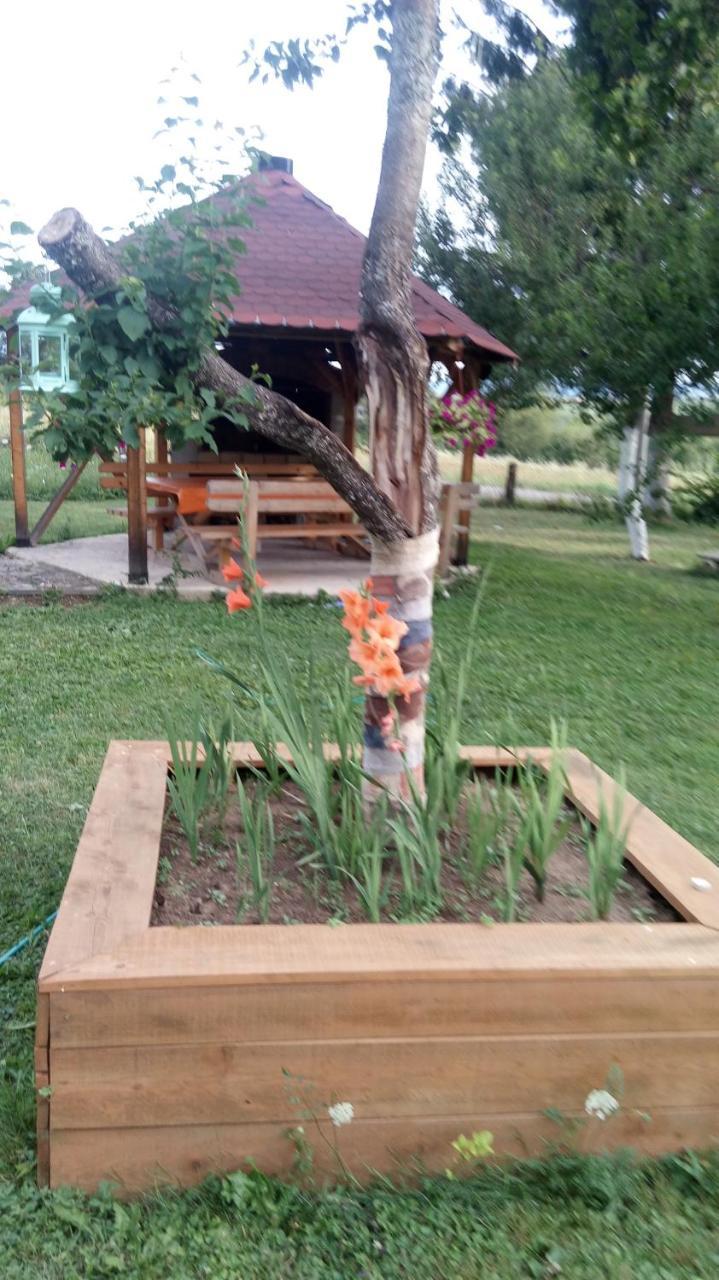 Apartments Eco Forest Resort Раковица Экстерьер фото